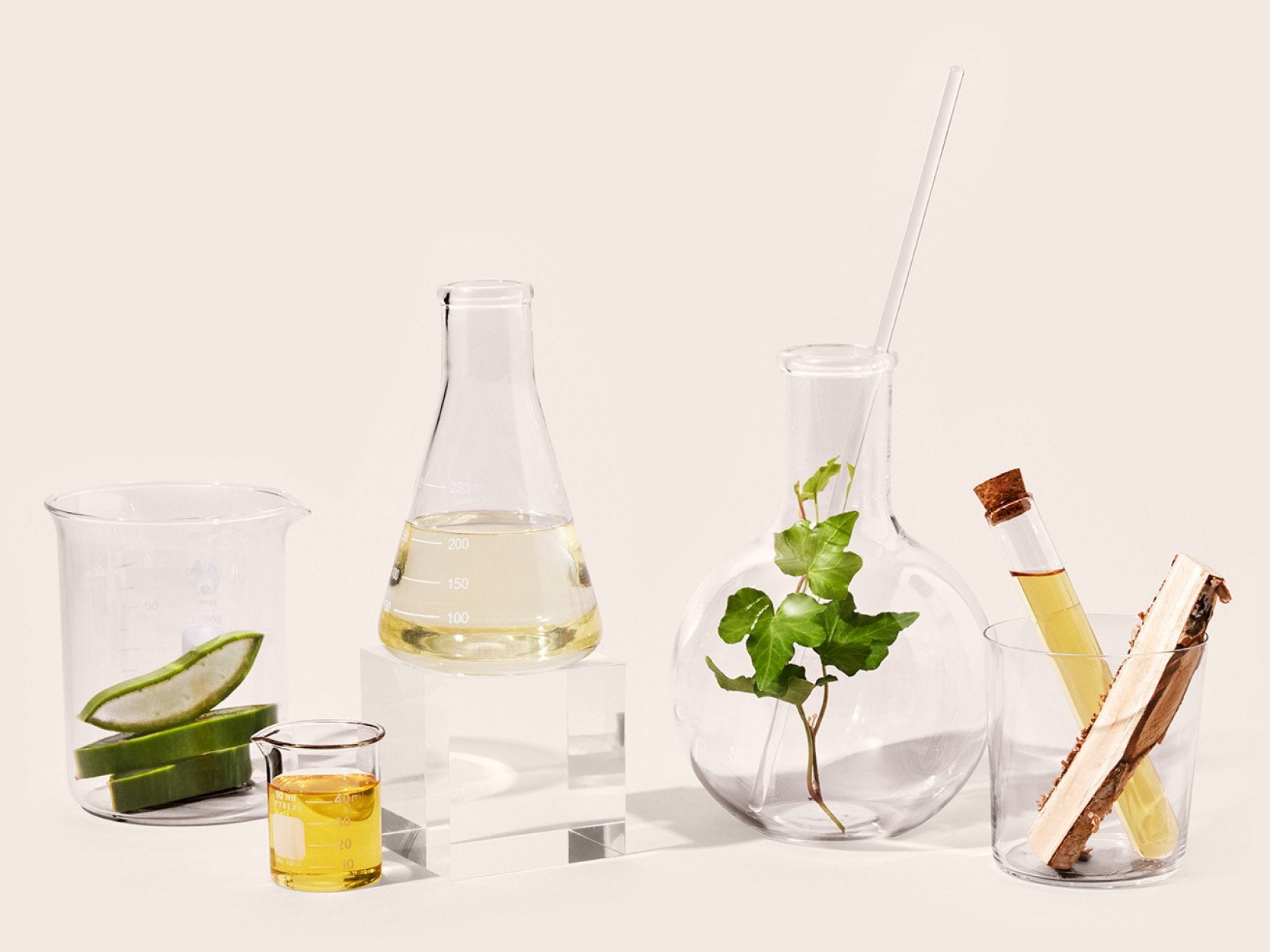 INGREDIENTS WE AVOID - A SHORT GUIDE