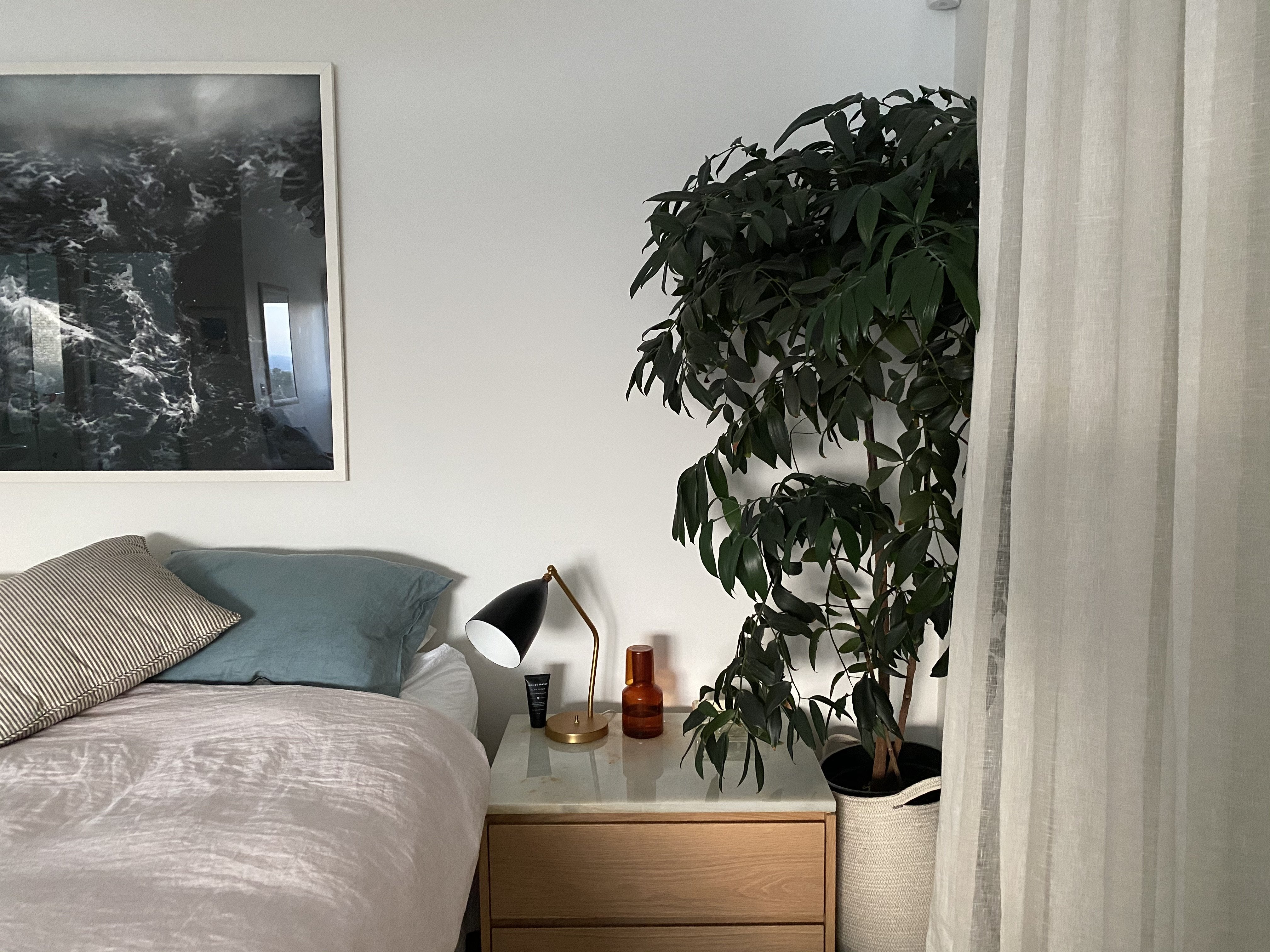 GOING NATIVE INDOORS