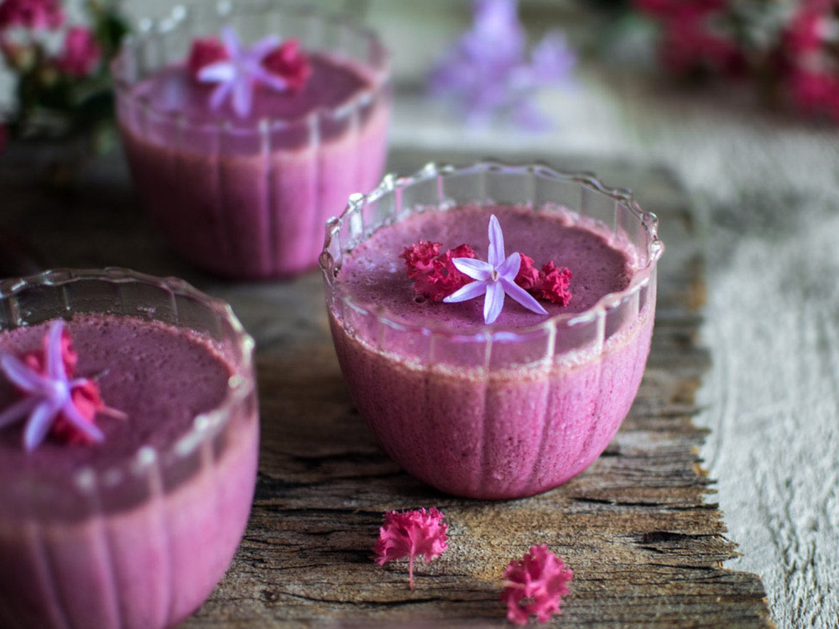 Davidson's plum panna cotta