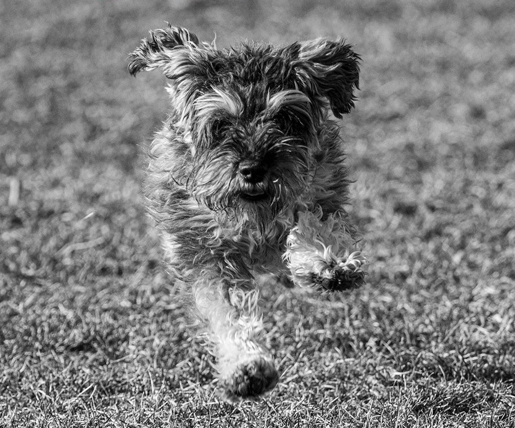 Light relief while you isolate