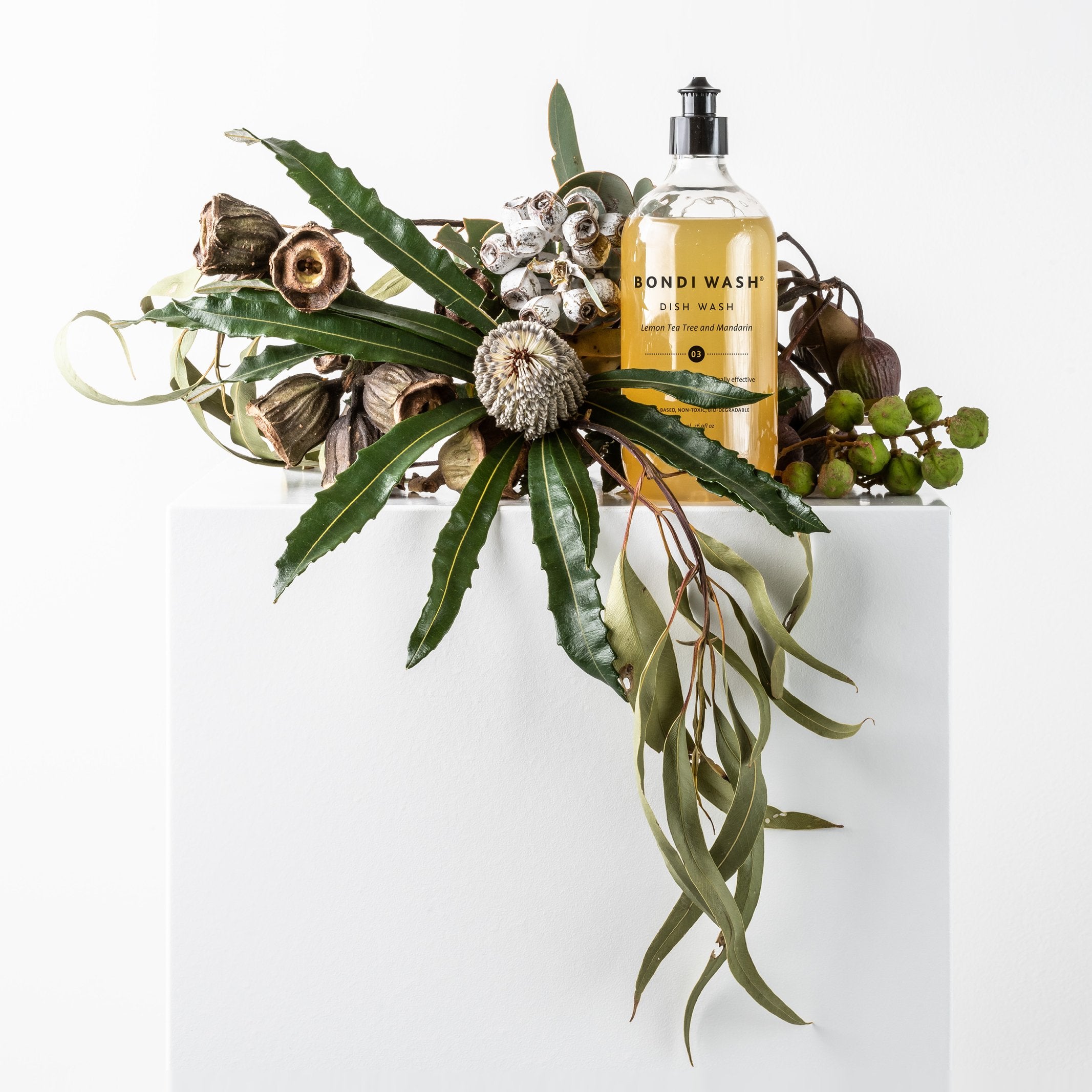 Bondi Wash Dish Wash